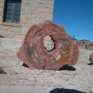 Meet your Posher, Frances